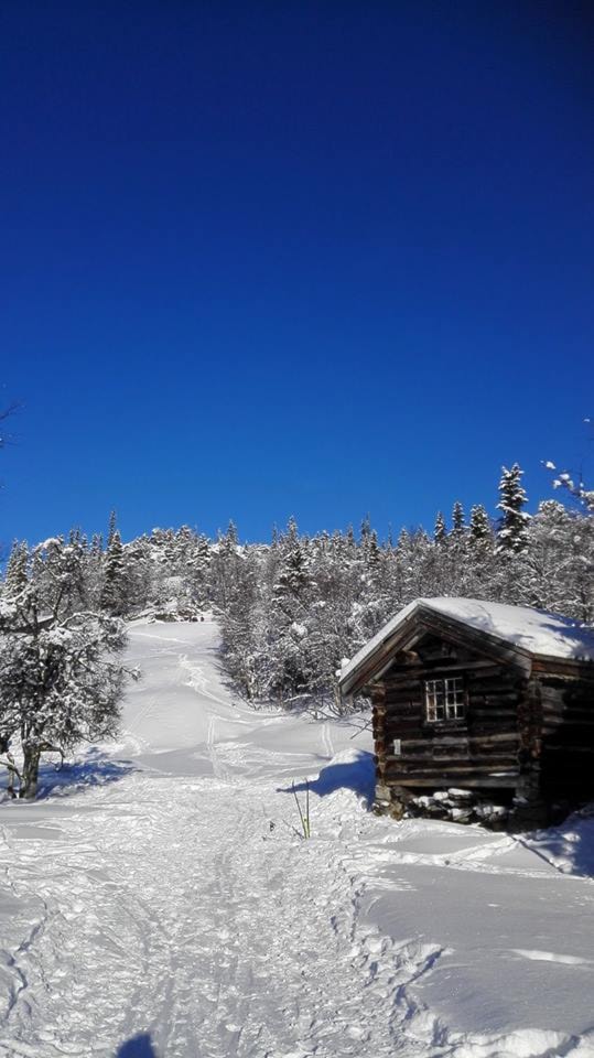 Vaffelsundag i Jønnardalen